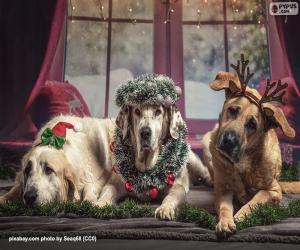 yapboz Üç Harika Noel Köpeği